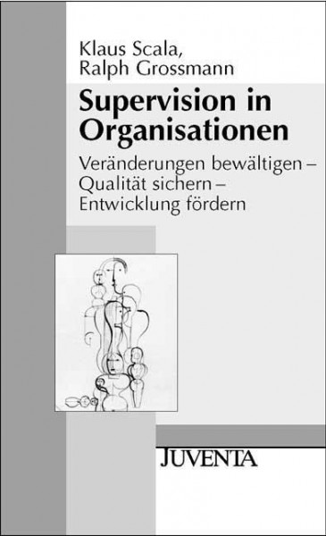 Supervision in Organisationen