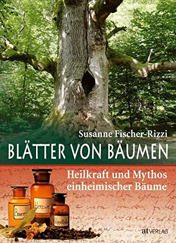 Blätter von Bäumen: Heilkraft und Mythos einheimischer Bäume