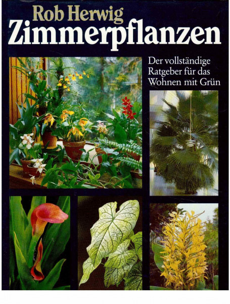 Zimmerpflanzen: Der vollständige Ratgeber für das Wohnen mit Grün