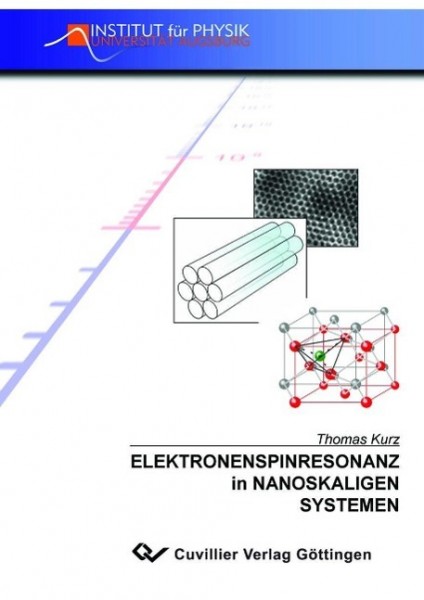 Elektronenspinresonanz in nanoskaligen Systemen