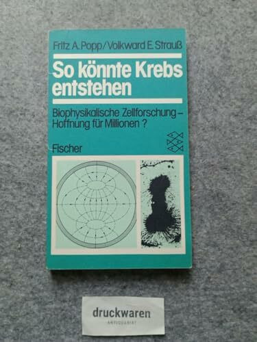 So könnte Krebs entstehen. Biophysikalische Zellforschung - Hoffnung für Millionen?