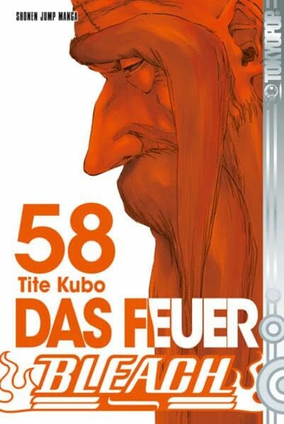 Bleach 58: Das Feuer