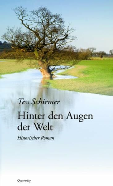 Hinter den Augen der Welt: Historischer Roman