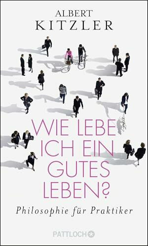 Wie lebe ich ein gutes Leben? Philosophie für Praktiker