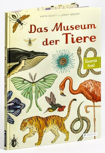 Das Museum der Tiere: Eintritt frei! - Sachbilderbuch im Großformat für Kinder ab 8 Jahren mit über 200 meisterhaften Tier-Illustrationen von Katie Scott (Eintritt frei! Komm mit ins Museum, Band 1)