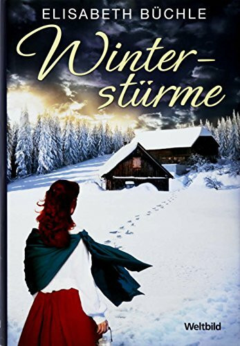 Winterstürme. Roman.