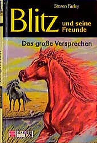 Blitz und seine Freunde, Bd.1, Das große Versprechen