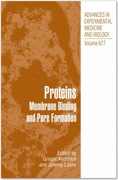 Proteins: Membrane Binding and Pore Formation (Advances in Experimental Medicine and Biology, 677, Band 677)