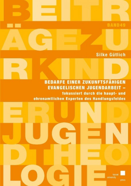 Bedarfe einer zukunftsfähigen evangelischen Jugendarbeit, fokussiert durch die haupt- und ehrenamtlichen Experten des Handlungsfeldes