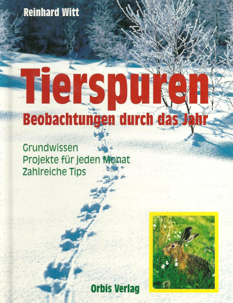 Tierspuren, Beobachtungen durch das Jahr