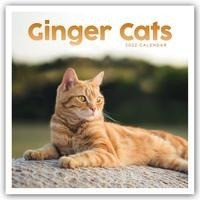Ginger Cats - Rothaarige Katzen 2022 - 18-Monatskalender
