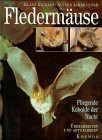 Fledermäuse