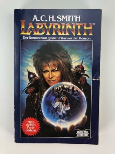 Labyrinth (Allgemeine Reihe. Bastei Lübbe Taschenbücher)