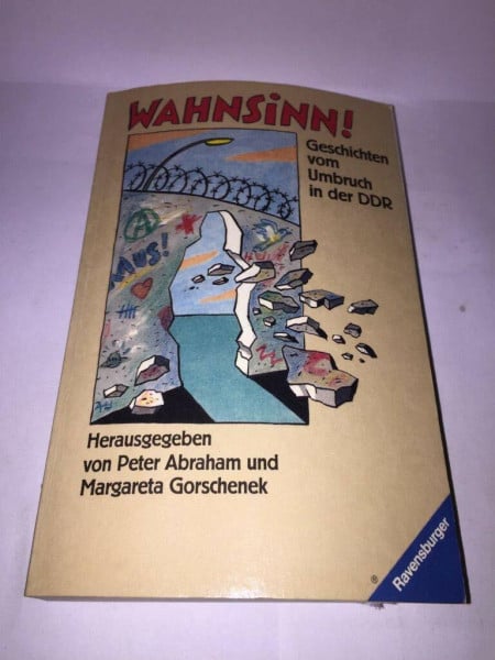 Wahnsinn!: Geschichten vom Umbruch in der DDR (HC - Jugendliteratur ab 12 Jahre)