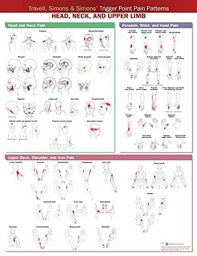 Travell, Simons & Simons Trigger Point Pain Patterns Wall Chart: Head, Neck, and Upper Limb