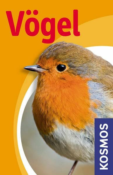 Vögel