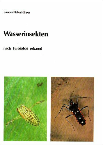 Wasserinsekten