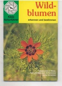 Wildblumen erkennen und bestimmen