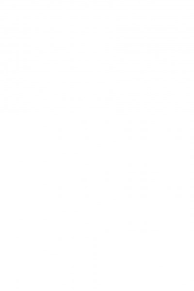 Die neue Wohnung: Die Frau als Schöpferin