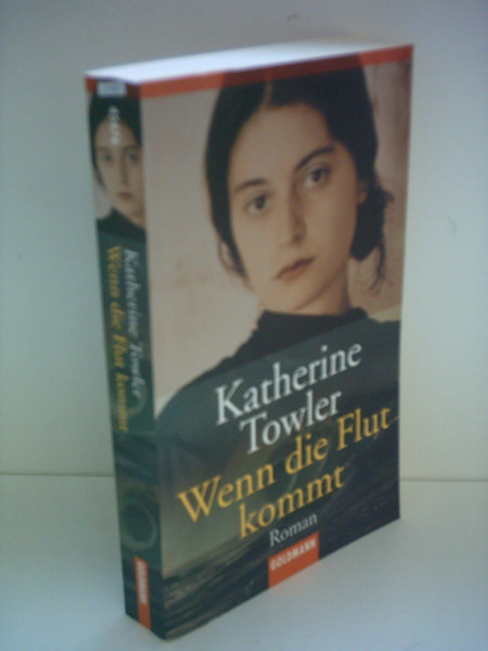 Wenn die Flut kommt: Roman