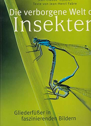 Die verborgene Welt der Insekten: Gliederfüßer in faszinierenden Bildern
