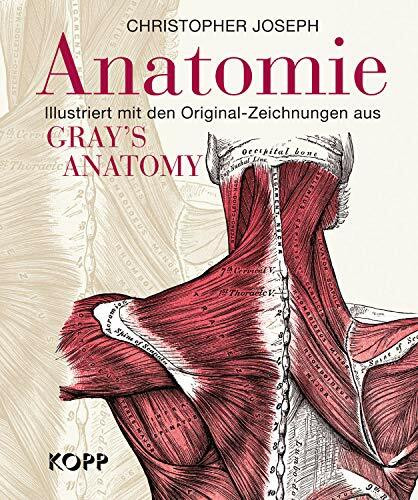 Anatomie: Illustriert mit den Original-Zeichnungen aus Gray's Anatomy