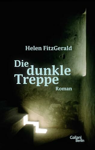 Die dunkle Treppe: Roman