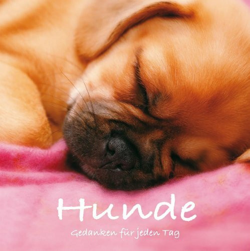 Geschenkbuch: Hunde: Gedanken für jeden Tag