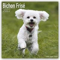 Bichon Frisé - Gelockter Bichon 2022 - 16-Monatskalender mit freier DogDays-App