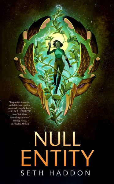 Null Entity (Volatile Memory Duology, 2)