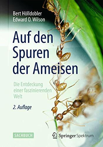 Auf den Spuren der Ameisen: Die Entdeckung einer faszinierenden Welt