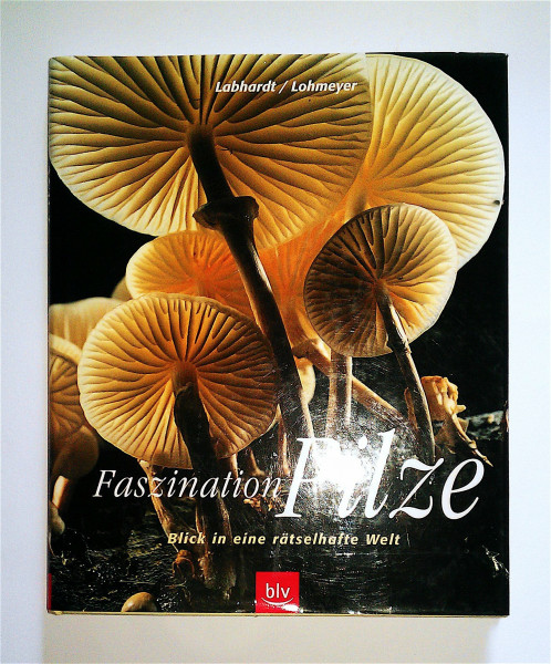 Faszination Pilze: Blick in eine rätselhafte Welt