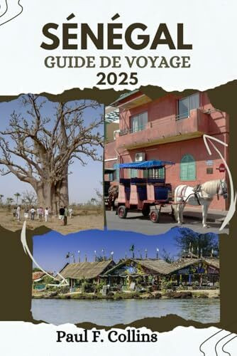 SÉNÉGAL GUIDE DE VOYAGE: Tout ce que vous devez savoir pour vivre un voyage incroyable, de l'hébergement aux plats en passant par les conseils de transport. (Paul Collins Travel (French), Band 30)