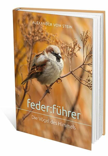 feder:führer: Die Vögel des Himmels