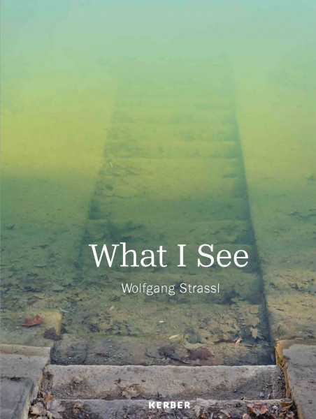 Wolfgang Strassl: What I See