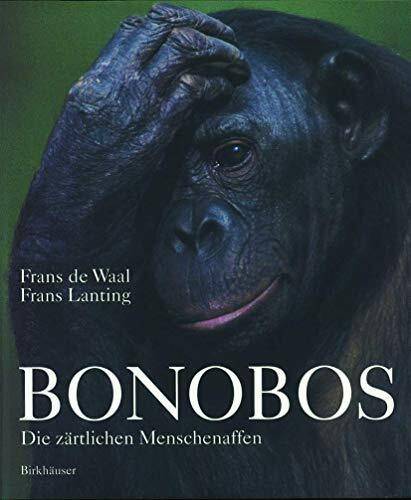 Bonobos - Die zärtlichen Menschenaffen