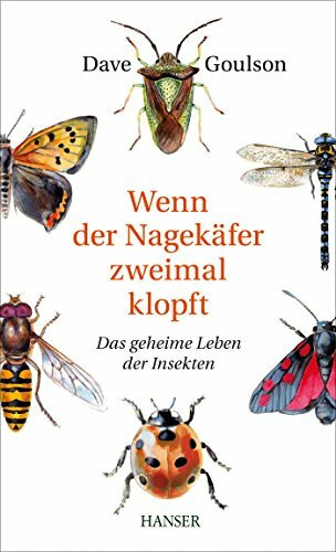 Wenn der Nagekäfer zweimal klopft: Das geheime Leben der Insekten