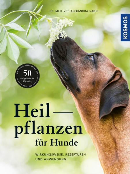 Heilpflanzen für Hunde: Wirkungsweise, Rezepturen und Anwendung