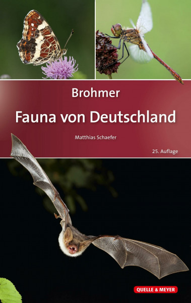 Brohmer – Fauna von Deutschland: Ein Bestimmungsbuch unserer heimischen Tierwelt (Quelle & Meyer Bestimmungsbücher)