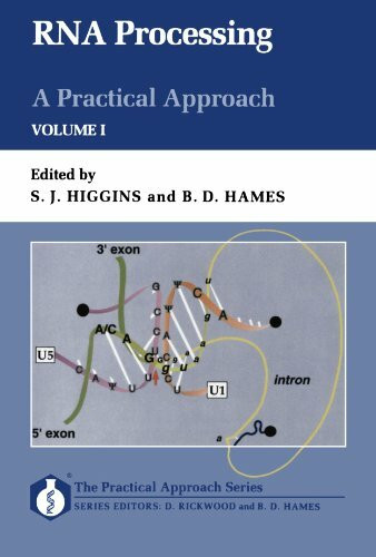 R.N.A. Processing: A Practical Approach, Volume 1 (Paper) (The Practical Approach Series, 135, Band 1)