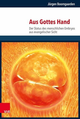 Aus Gottes Hand: Der Status des menschlichen Embryos aus evangelischer Sicht (Religion, Theologie und Naturwissenschaft /Religion, Theology, and Natural Science, Band 32)