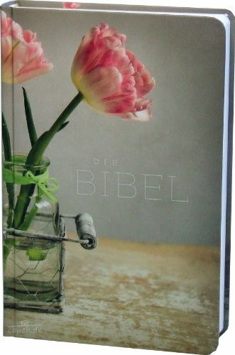 Schlachter 2000: Taschenausgabe mit Parallelstellen, Cover: farbig / neue Rechtschreibung / Fadenheftung