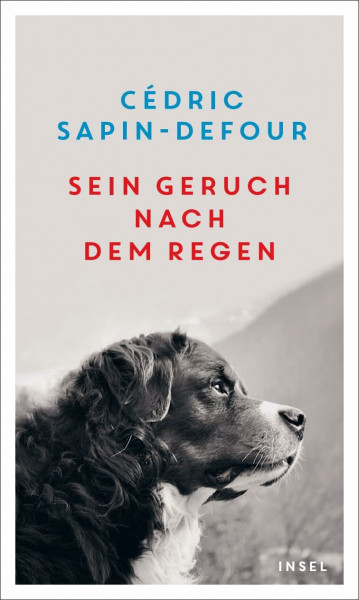 Sein Geruch nach dem Regen: Eine Ode an die einzigartige Verbindung zwischen Mensch und Hund