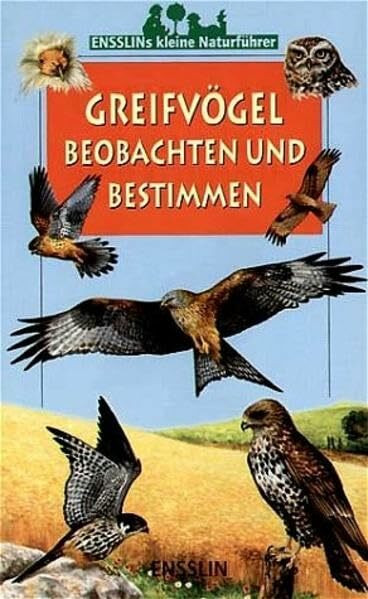 Greifvögel beobachten und bestimmen (Ensslin Naturführer)