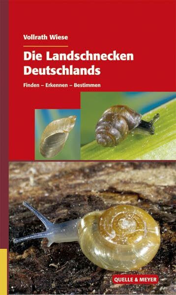 Die Landschnecken Deutschlands: Finden – Erkennen – Bestimmen