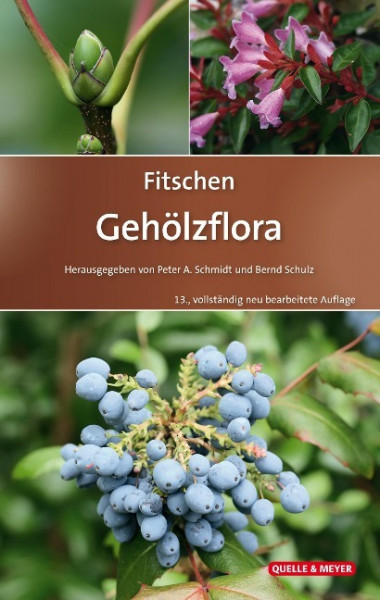 Fitschen - Gehölzflora